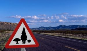 duendes-islandia-viajohoy4