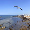 visita-Essaouira-marruecos-viajohoy12
