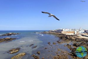 visita-Essaouira-marruecos-viajohoy12