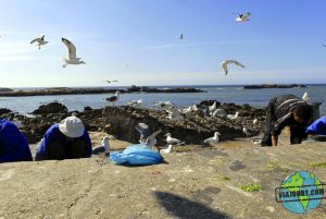 visita-Essaouira-marruecos-viajohoy2