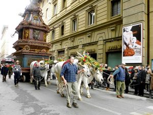 semana-santa-florencia-1