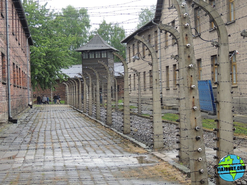Visita-Auschwitz-viajohoy168