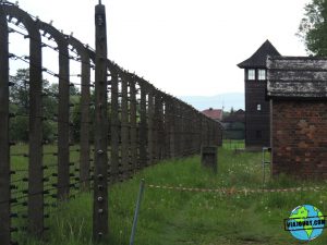 Visita-Auschwitz-viajohoy235
