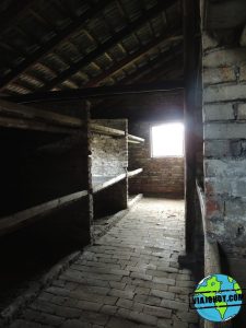 Visita-Auschwitz-viajohoy275