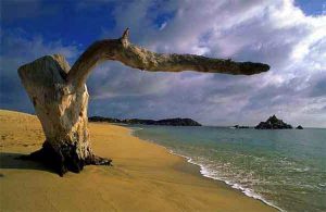 San-Agustinillo-Oaxaca