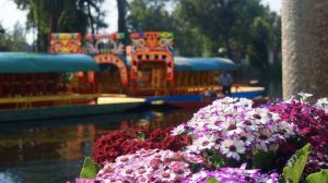 visita-Xochimilco-mexico4